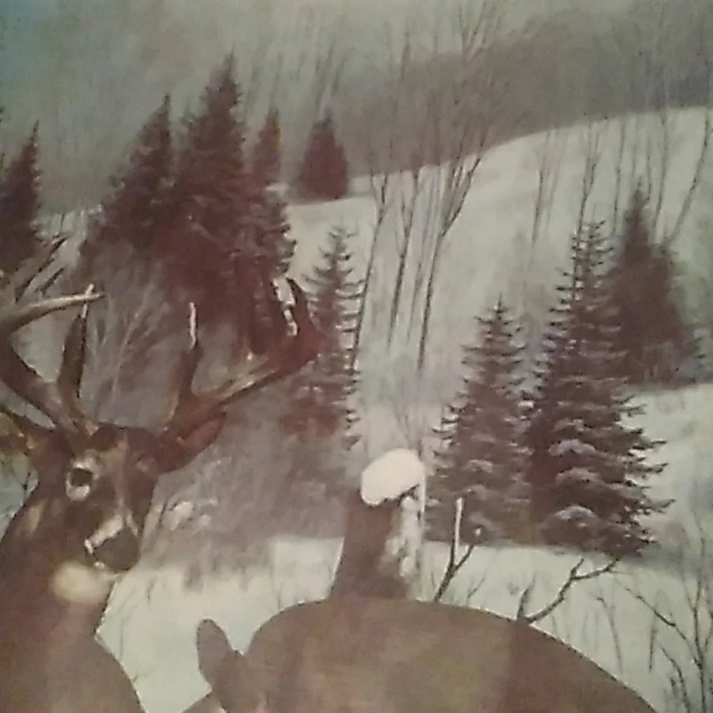 DEER MURAL WILDLIFE WISC VINTAGE  MURAL BUCKS  🦌 RARE WALL HUGE EVC